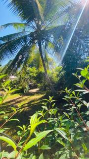Lazy Days - Hikkaduwa - 5
