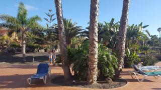 Oasis Royal 2 Dormitorios 3 Piscinas-fibra ptica - 5