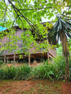 Private Mountaintop Cabin in Carara Biological Corridor 20 minutes to beaches - Carara - 6