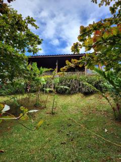 Private Mountaintop Cabin in Carara Biological Corridor 20 minutes to beaches - Carara - 5