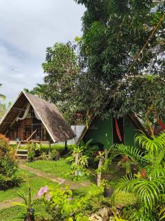 Lagkaw Uno in Lagkaw Homestay - Panglao - 9