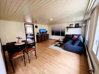 Newly furnished beautiful old building apartment in the center with Apple TV - St. Gallen - 9