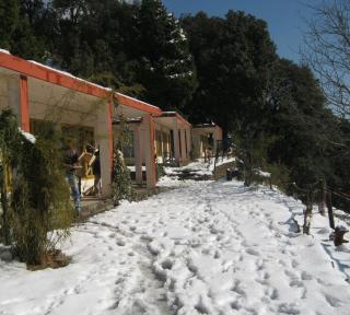 Room in Lodge - Janardan Resort Pangot, Nainital - Nainital - 5