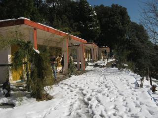 Room in Lodge - Janardan Resort Pangot, Nainital - Nainital - 1