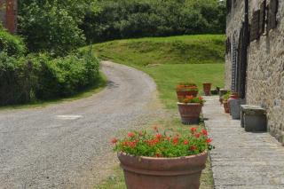 Two-room apartment in Tuscan rustic style - La Lama - 9