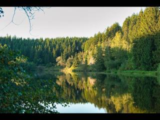The house to stay for holidays - Hasselfelde - 1