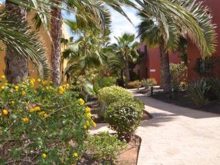 Tamarindo Piscinas De Agua Salada - Fibra ptica - 7