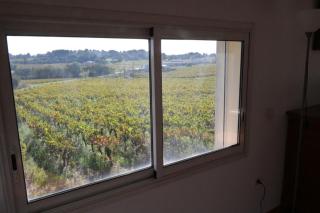 La Maison du Vigneron - Montpeyroux - 5