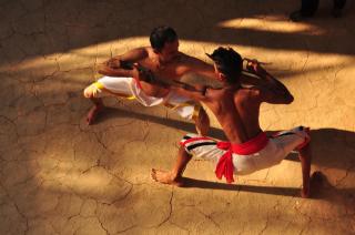 INDIMASI - Ayurveda & Healing Village - Trivandrum - 9
