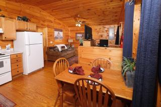 Beary Cozy - Pigeon Forge - 1