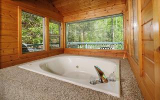 Ski Mountain Hideaway 1154 - Gatlinburg - 1