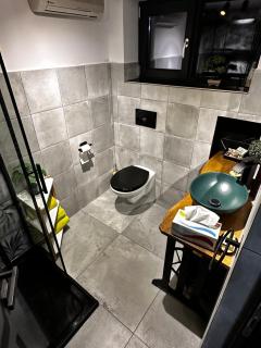 Pifu House - Dofteana - 2