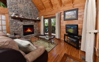 Bear Elegance - Gatlinburg - 8