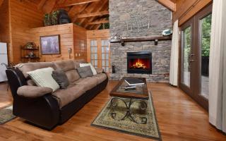 Bear Elegance - Gatlinburg - 7