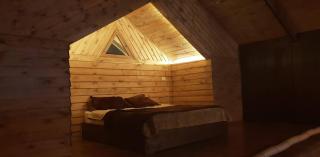 The Tree House - Sheikh Zayed - 3
