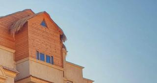 The Tree House - Sheikh Zayed - 8