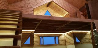 The Tree House - Sheikh Zayed - 5