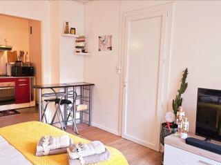 Charmant Studio proche centre avec balcon+parking - 1