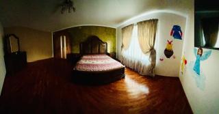 Guest house R & N - Miercurea Sibiului - 9