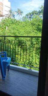 Palmetto Park - Phuket - 7