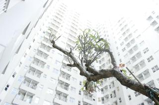 Comfy & Scenic Studio Apartment at Parahyangan Residence near UNPAR By Travelio - Bandung - 1