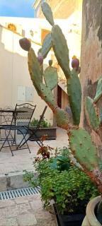 Bed & Breakfast Scicli - Scicli - 4