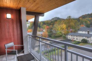 Courtyard by Marriott Gatlinburg Downtown - Gatlinburg - 1