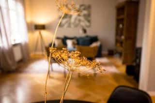 Brick House In Secluded Setting - 2