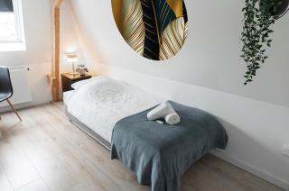 Newly Renovated Suite With Kitchen Access - Tilburgo - 8