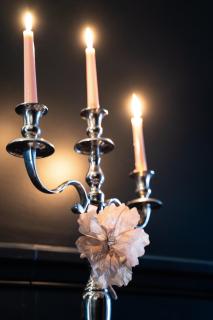 Domaine Bohème I art de vivre - Guebwiller - 1