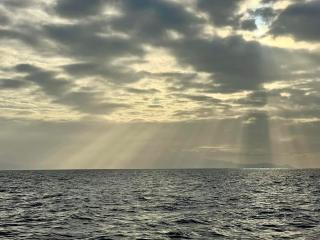 Château des Fougères Trouville sur Mer - 2