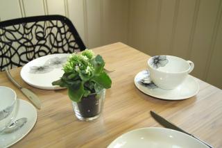 Bed & Breakfast De Kleine Magnolia - Tessenderlo - 9