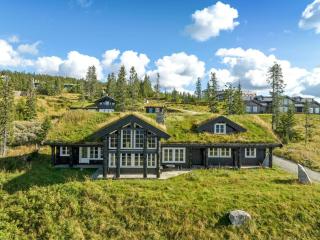Spacious Cabin With Ski-In-Ski-Out In Hafjell - Øyer - 0