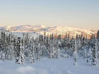 Family Friendly Mountain Cabin Near Oslo - Flå - 9