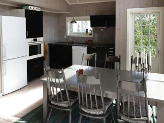 Family Friendly Mountain Cabin Near Oslo - Flå - 4