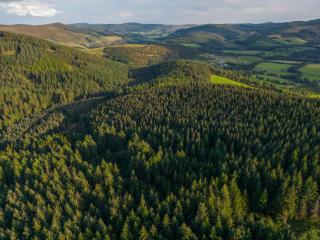 Glentress Forest Cabins - Forest Holidays - 4