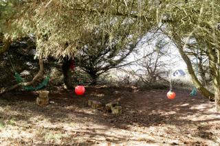 Atmosphere Close To Water Surrounded By Pines - Hvide Sande - 4