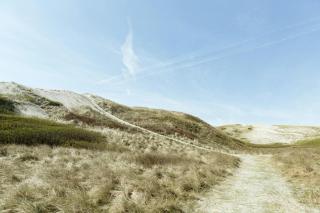 Atmosphere Close To Water Surrounded By Pines - Hvide Sande - 3