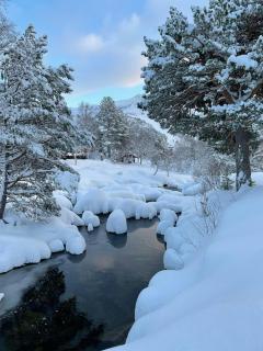 Charming Cabin With Direct Access To The Water - Eidsbygda - 8