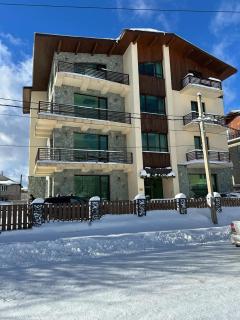 Hotel in Bakuriani - Bakuriani - 0