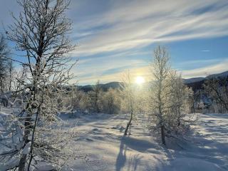 Cosy Holiday Home With Stunning Views In Rauland - Rauland - 9