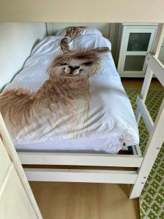 Enchanting Holiday Home With Alpacas In Lundeborg - Lundeborg - 6