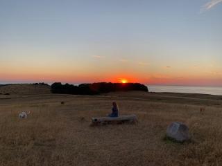 Scenic View To Kalundborg Fiord - Kalundborg - 9