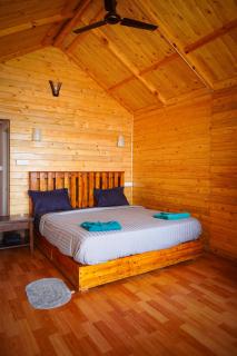 Sameer beachfront Cottages - Canacona - 8