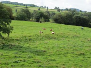 Ferienwohnung Gertraud Müller - 6