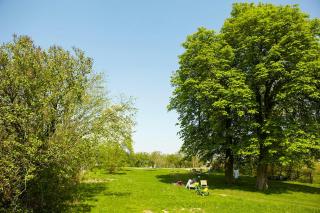 Vacation Apartment With Sauna And Garden View - Walow - 8