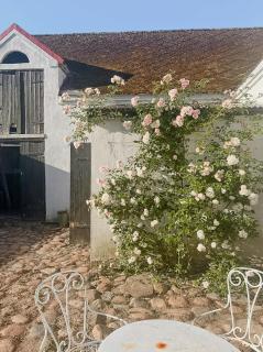 Charming Farmhouse With Open Spaces Near Österlen - Löderup - 9