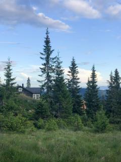 Modern Mountain Cabin With Panoramic Views - Sjusjøen - 9
