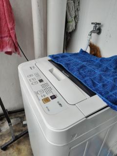 NEW Star Wars Evo Bangi - 8