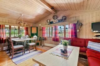Traditional Cabin By Reinsvatn In Treungen - Treungen - 7
